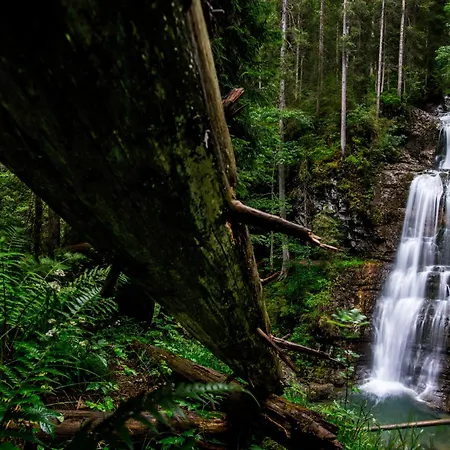 Walserhaus Fritz Apartment Mittelberg