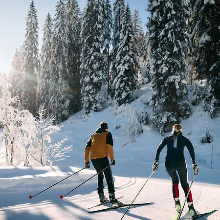 Apartment Walserhaus Fritz Mittelberg